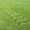 Cawila raised running ladder