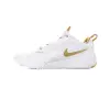 Nike AIR ZOOM HYPERACE 3 indoor shoes FQ7074-105