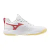 Mizuno WAVE MOMENTUM PRO women's indoor shoes V1GC2540-35