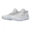 Nike ZOOM HYPERSPEED COURT SE indoor shoes DJ4476-102