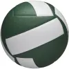 Wilson Helix competition volleyball, green