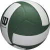 Wilson Helix competition volleyball, green