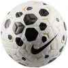 Nike Academy Plus тренировъчна футболна топка HV4392-100