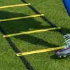 Cawila running ladder L, 6 m