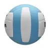 Wilson Pro Tour training volleyball, sky blue