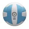 Wilson Pro Tour training volleyball, sky blue