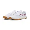 Puma Varion II indoor shoes 107341-12