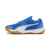 Puma Solarflash III indoor shoes 107850-03