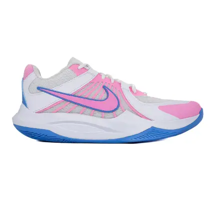 Nike HYPERSPEED COURT 2 women's indoor shoes IB9554-102
