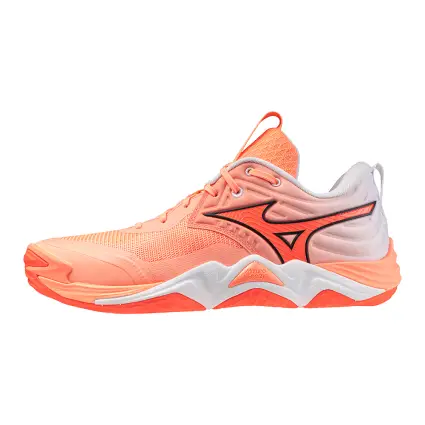 Mizuno WAVE MOMENTUM ELITE indoor shoes V1GA2512-80