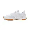 Puma Varion 3 indoor shoes 109096-04