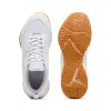 Puma Varion 3 indoor shoes 109096-04