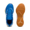 Puma Varion 3 junior indoor shoes 109097-03