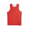 Puma Hoops Team Reverse Practice Jersey/tank top