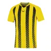 Mizuno Team Shimizu Game shirt
