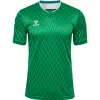 hummel hmlMATCH LEGEND JERSEYS SS