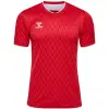 hummel hmlMATCH LEGEND JERSEYS SS