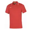 Mizuno Men Mizuno Polo shirt
