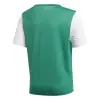 Adidas ESTRO 19 junior tshirt