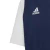 Adidas ESTRO 19 junior tshirt