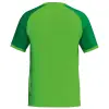 Erima WINGS Jersey Shortsleeve тениска