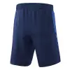 Erima Six Wings Worker Shorts