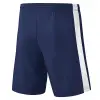 Erima RETRO STAR SHORTS