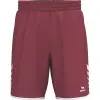 Erima WINGS Shorts without inner slip