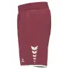 Erima WINGS Shorts without inner slip