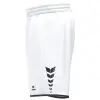 Erima WINGS Shorts without inner slip