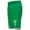 Erima WINGS Shorts without inner slip