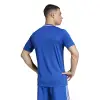 Adidas Campeon 25 Match jersey