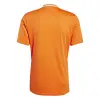 Adidas Campeon 25 Match тениска