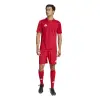 Adidas Campeon 25 Match jersey