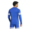 Adidas Squadra 25 Longsleeve Match jersey