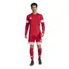 Adidas Squadra 25 Longsleeve Match jersey