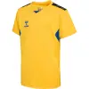 hummel HMLAUTHENTIC PL JERSEY S/S KIDS