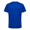 hummel HMLAUTHENTIC PL JERSEY S/S KIDS