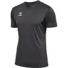 hummel HMLAUTHENTIC PL JERSEY S/S