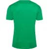 hummel HMLAUTHENTIC PL JERSEY S/S тениска