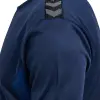 hummel HMLAUTHENTIC PL JERSEY S/S