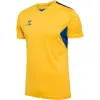 hummel HMLAUTHENTIC PL JERSEY S/S тениска