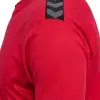 hummel HMLAUTHENTIC PL JERSEY S/S