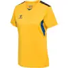 hummel HMLAUTHENTIC PL women's JERSEY S/S