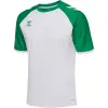 hummel hmlMATCH LEAGUE JERSEY S/S