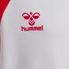 hummel hmlMATCH LEAGUE S/S детска тениска