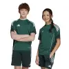 Adidas TIRO25 Competition junior jersey