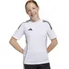 Adidas TIRO25 Competition junior jersey