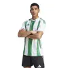 Adidas STRIPED 24 Match jersey