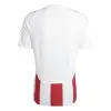 Adidas STRIPED 24 Match jersey